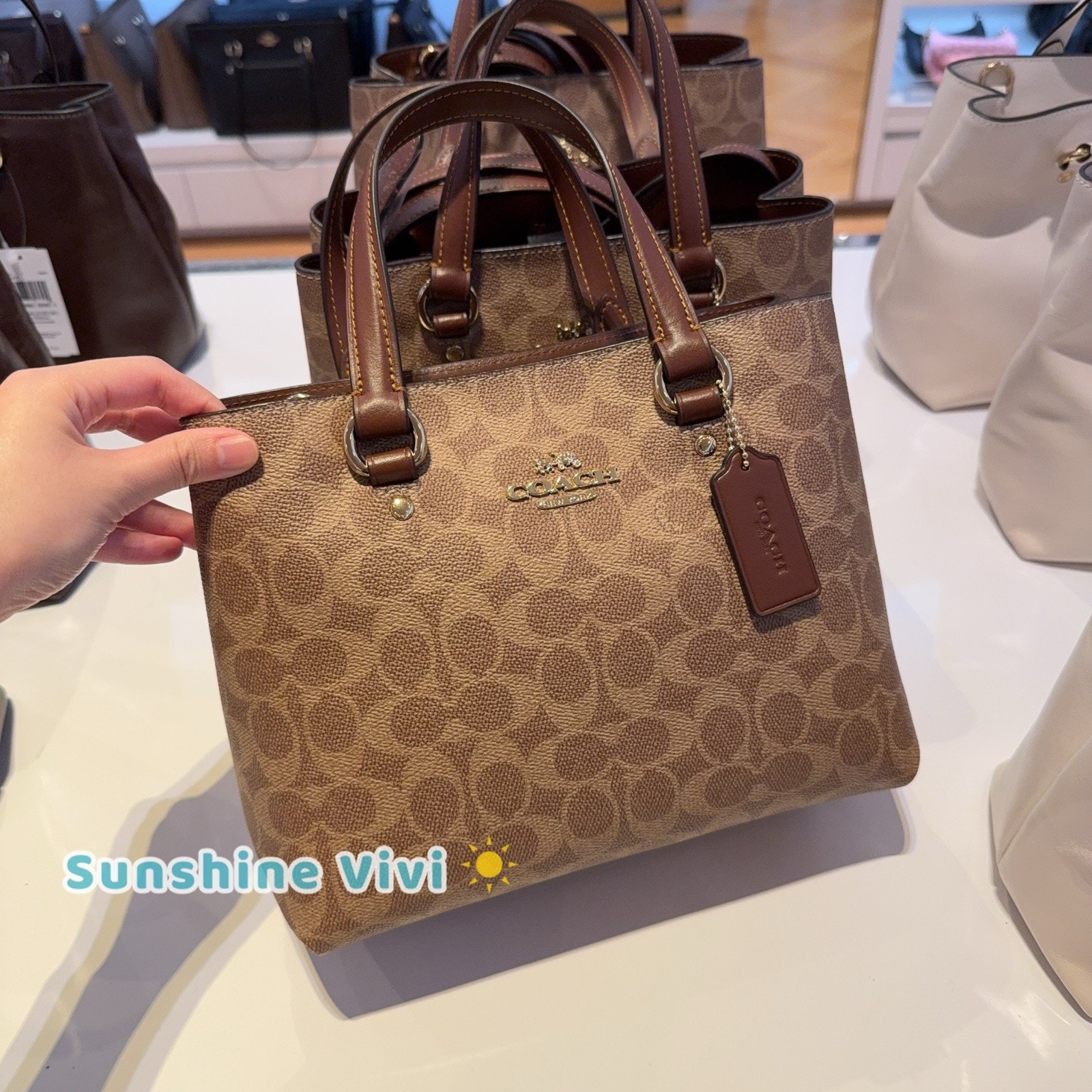 Nwt Coach Station Carryall Bag In Signature Canvas Cet31 Im/Tan/Brown